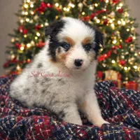 processed/70b6af41-076b-48af-b6ea-d2a8c55da50a/listing/a1812cc0-be03-4811-a940-366774c80ec4/d9a4a2d8-6484-4c3d-ba79-e72c82157c3a