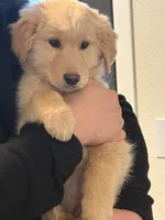 processed/70c489b9-0338-4624-8843-5051af385615/listing/6e9e1f53-8b02-487f-a96b-39319b8eb155/1717e300-66a7-445a-ba1f-13013bf83348