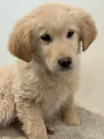 processed/70c489b9-0338-4624-8843-5051af385615/listing/6e9e1f53-8b02-487f-a96b-39319b8eb155/75879e91-f8f5-478d-8b42-f8a8d0150d1e