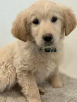 processed/70c489b9-0338-4624-8843-5051af385615/listing/6e9e1f53-8b02-487f-a96b-39319b8eb155/7ecdfd3d-8b86-448e-9688-c88ac45b34f4