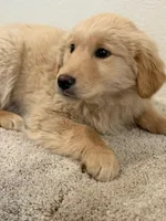 processed/70c489b9-0338-4624-8843-5051af385615/listing/6e9e1f53-8b02-487f-a96b-39319b8eb155/d6dce444-d4b2-420f-a9bc-9a64ef95d85b