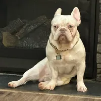 processed/70c556de-e6c5-4beb-b500-ae2e82604654/facility/0575747e-8a13-4ee8-aa5f-9d14a5faabed