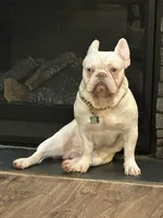 processed/70c556de-e6c5-4beb-b500-ae2e82604654/facility/0575747e-8a13-4ee8-aa5f-9d14a5faabed