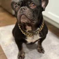 processed/70c556de-e6c5-4beb-b500-ae2e82604654/facility/9849cafd-5f81-4b33-90b7-8740b2d612ac