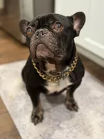 processed/70c556de-e6c5-4beb-b500-ae2e82604654/facility/9849cafd-5f81-4b33-90b7-8740b2d612ac