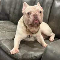 processed/70c556de-e6c5-4beb-b500-ae2e82604654/facility/c7f93d43-838c-408b-be3b-7358aaac59d1