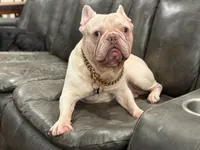 processed/70c556de-e6c5-4beb-b500-ae2e82604654/facility/c7f93d43-838c-408b-be3b-7358aaac59d1