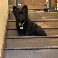 processed/70c556de-e6c5-4beb-b500-ae2e82604654/facility/dd12ef0b-e080-4118-8974-b29379d49abb