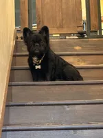 processed/70c556de-e6c5-4beb-b500-ae2e82604654/facility/dd12ef0b-e080-4118-8974-b29379d49abb