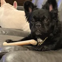 processed/70c556de-e6c5-4beb-b500-ae2e82604654/facility/e0d6c04d-b4d1-41f1-adb2-ffabadc9fdb4