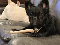 processed/70c556de-e6c5-4beb-b500-ae2e82604654/facility/e0d6c04d-b4d1-41f1-adb2-ffabadc9fdb4