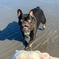 processed/70c556de-e6c5-4beb-b500-ae2e82604654/facility/e3480f64-4bd5-4280-a50d-cb2361434353