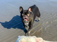 processed/70c556de-e6c5-4beb-b500-ae2e82604654/facility/e3480f64-4bd5-4280-a50d-cb2361434353