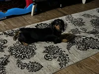 processed/70c91003-449b-4a22-9350-2e8ee2a29974/facility/3245ad76-2714-4b49-9e64-4af96fc2d969