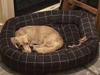 processed/70c91003-449b-4a22-9350-2e8ee2a29974/facility/dced4521-f204-4a6c-8348-6daab5301a43