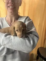 processed/70c91003-449b-4a22-9350-2e8ee2a29974/listing/ca8934fb-b396-455b-9bab-5a1c2ce1e889/31ec7384-66cc-440e-95a5-0a8ae6e2eefe