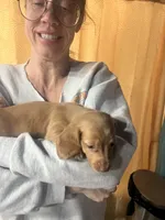 processed/70c91003-449b-4a22-9350-2e8ee2a29974/listing/ca8934fb-b396-455b-9bab-5a1c2ce1e889/b3309fbf-02ca-449e-852e-486f899a8288