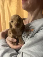 processed/70c91003-449b-4a22-9350-2e8ee2a29974/listing/d42faadd-1635-49fc-9a34-ebe85a9212ff/35c21f5e-393c-4ddd-94fe-4dacd17859f8