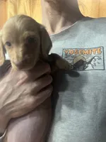 processed/70c91003-449b-4a22-9350-2e8ee2a29974/listing/d42faadd-1635-49fc-9a34-ebe85a9212ff/b8d5e3ed-f9b8-4cce-b699-fe6d6dd45d54