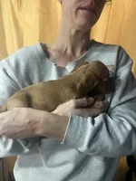 processed/70c91003-449b-4a22-9350-2e8ee2a29974/listing/d42faadd-1635-49fc-9a34-ebe85a9212ff/c3b1baba-77aa-4f8c-aa46-bc68e829086d