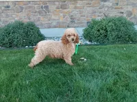 processed/70cc24bd-793d-4783-b901-1f6fa9bfff20/listing/bc0f6ee2-b526-4fd8-898c-4ba5a38a44df/12744ea4-1593-4fc2-a8e8-033d307bf317