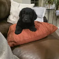 processed/70d68cb6-d59a-490d-bfed-b2b338b4d8c4/listing/8a2a9a04-5ecb-4a1a-9590-2b533c755f43/623c081a-8c05-4d13-91b9-6d390403f5c5