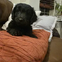 processed/70d68cb6-d59a-490d-bfed-b2b338b4d8c4/listing/8a2a9a04-5ecb-4a1a-9590-2b533c755f43/a975b01a-af6f-4af9-945d-dfd5cd558395