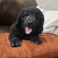 processed/70d68cb6-d59a-490d-bfed-b2b338b4d8c4/listing/dbded603-b5ef-4d73-9788-4d374879c55c/2133c9f1-522f-4490-8cb4-e9002ec318f8