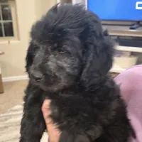 processed/70d68cb6-d59a-490d-bfed-b2b338b4d8c4/listing/dbded603-b5ef-4d73-9788-4d374879c55c/3f8448c1-f6da-4c56-a381-ef3203c31840