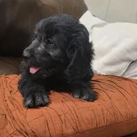 processed/70d68cb6-d59a-490d-bfed-b2b338b4d8c4/listing/dbded603-b5ef-4d73-9788-4d374879c55c/50a3792c-170f-4541-9f68-9b40dea61e4b