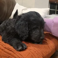 processed/70d68cb6-d59a-490d-bfed-b2b338b4d8c4/listing/dbded603-b5ef-4d73-9788-4d374879c55c/b227cbef-68e9-476c-b9b1-7f7148571957