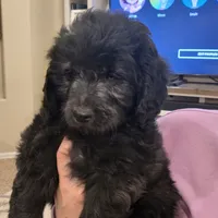 processed/70d68cb6-d59a-490d-bfed-b2b338b4d8c4/listing/dbded603-b5ef-4d73-9788-4d374879c55c/df5be603-f74a-4ffc-8c12-e43eb6467669