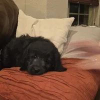 processed/70d68cb6-d59a-490d-bfed-b2b338b4d8c4/listing/dbded603-b5ef-4d73-9788-4d374879c55c/fe719037-65fd-4d0e-8191-b870a3df11ec