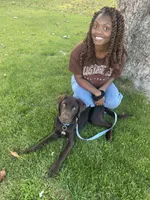 River, a male Labrador Retriever for sale in Newport News, VA – 3 of 7