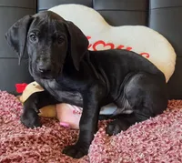 processed/71023850-bcdb-4e87-a0ff-e43a1f655fe2/listing/0a609245-577e-4524-8ce2-d6f2db842717/0951eed7-b311-4094-a87d-2ce3633e3cf0