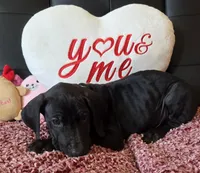 processed/71023850-bcdb-4e87-a0ff-e43a1f655fe2/listing/0a609245-577e-4524-8ce2-d6f2db842717/3f6ff09b-7a5b-4de6-9ec7-b221abf07576