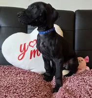 processed/71023850-bcdb-4e87-a0ff-e43a1f655fe2/listing/0a609245-577e-4524-8ce2-d6f2db842717/5262508d-40a0-4992-818f-5c254e52e75f