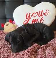 processed/71023850-bcdb-4e87-a0ff-e43a1f655fe2/listing/0a609245-577e-4524-8ce2-d6f2db842717/5e66022d-c449-46c6-9a52-9e3bb629df43