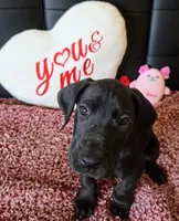 processed/71023850-bcdb-4e87-a0ff-e43a1f655fe2/listing/0a609245-577e-4524-8ce2-d6f2db842717/7716c824-3dbd-491a-9635-925469011a8a