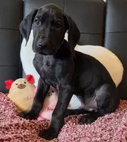 processed/71023850-bcdb-4e87-a0ff-e43a1f655fe2/listing/0a609245-577e-4524-8ce2-d6f2db842717/eabe38e0-6fe3-46d1-a5e8-49a647245b66