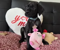 processed/71023850-bcdb-4e87-a0ff-e43a1f655fe2/listing/5ffc2cd5-bcb7-4fca-bbec-eb81b212986f/0f0be30f-e1f9-43dc-ae3f-82d2a39c0cbf