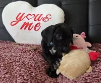 processed/71023850-bcdb-4e87-a0ff-e43a1f655fe2/listing/5ffc2cd5-bcb7-4fca-bbec-eb81b212986f/33ebcf6d-5260-4d37-b1ab-d05a974cfe45