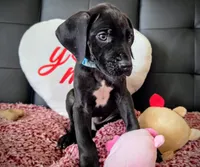 processed/71023850-bcdb-4e87-a0ff-e43a1f655fe2/listing/5ffc2cd5-bcb7-4fca-bbec-eb81b212986f/62705ac8-b444-4d7c-9474-7a4a540fdf32