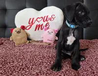 processed/71023850-bcdb-4e87-a0ff-e43a1f655fe2/listing/5ffc2cd5-bcb7-4fca-bbec-eb81b212986f/7e83208a-723e-4982-8e9f-6d29b6c5c0d8