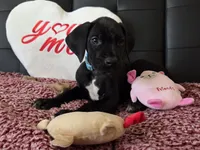 processed/71023850-bcdb-4e87-a0ff-e43a1f655fe2/listing/5ffc2cd5-bcb7-4fca-bbec-eb81b212986f/90a0868c-32a2-4f4f-9112-759e3d454fbc