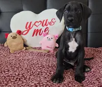 processed/71023850-bcdb-4e87-a0ff-e43a1f655fe2/listing/5ffc2cd5-bcb7-4fca-bbec-eb81b212986f/ae2b0113-7322-4763-9676-451b697ad0e1