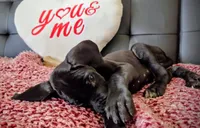 processed/71023850-bcdb-4e87-a0ff-e43a1f655fe2/listing/5ffc2cd5-bcb7-4fca-bbec-eb81b212986f/f3d1ff92-bca6-4508-a3f9-50eb8bf6ab4f