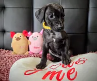 processed/71023850-bcdb-4e87-a0ff-e43a1f655fe2/listing/9ec6ca14-0ef0-4526-acbd-7bfee76d8898/21702a9c-b0c3-4544-be71-0925ea09761a