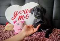 processed/71023850-bcdb-4e87-a0ff-e43a1f655fe2/listing/9ec6ca14-0ef0-4526-acbd-7bfee76d8898/47ba7eda-1b65-4dee-b14a-19b4d4ca3295