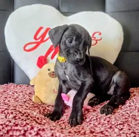 processed/71023850-bcdb-4e87-a0ff-e43a1f655fe2/listing/9ec6ca14-0ef0-4526-acbd-7bfee76d8898/7a42db8b-b1a9-40c3-99f0-05e65023a112